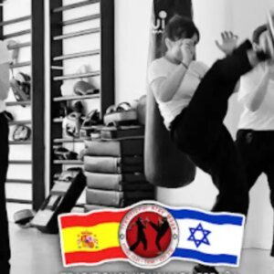 Escuela de Artes Marciales y AD Goyo Munoz en Gijón